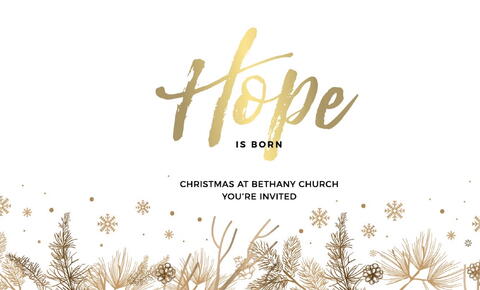 Looking back, looking forward